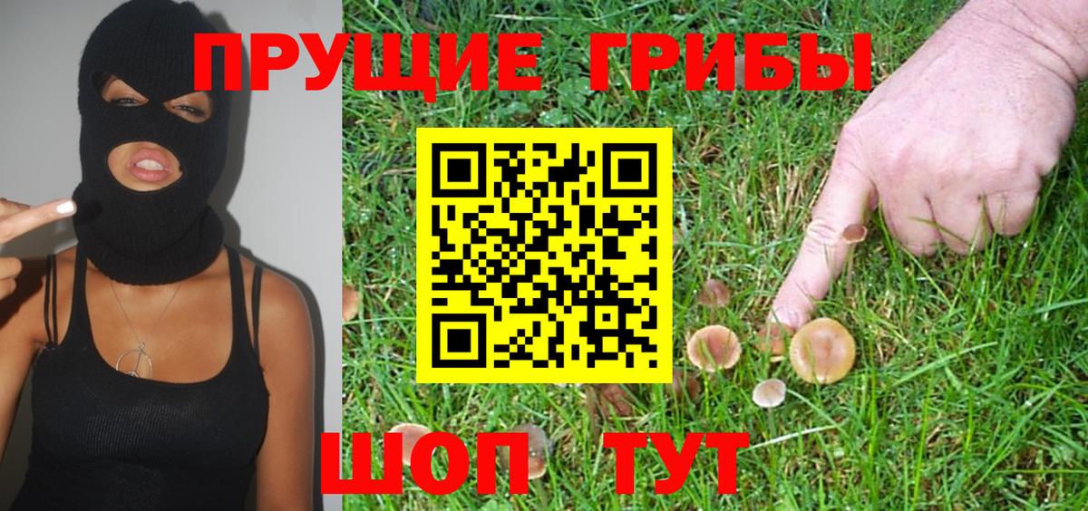 Галлюциногенные грибы Magic Shrooms  Вход с VPN  Псилоцибиновые грибы Magic Shrooms  Югорск 