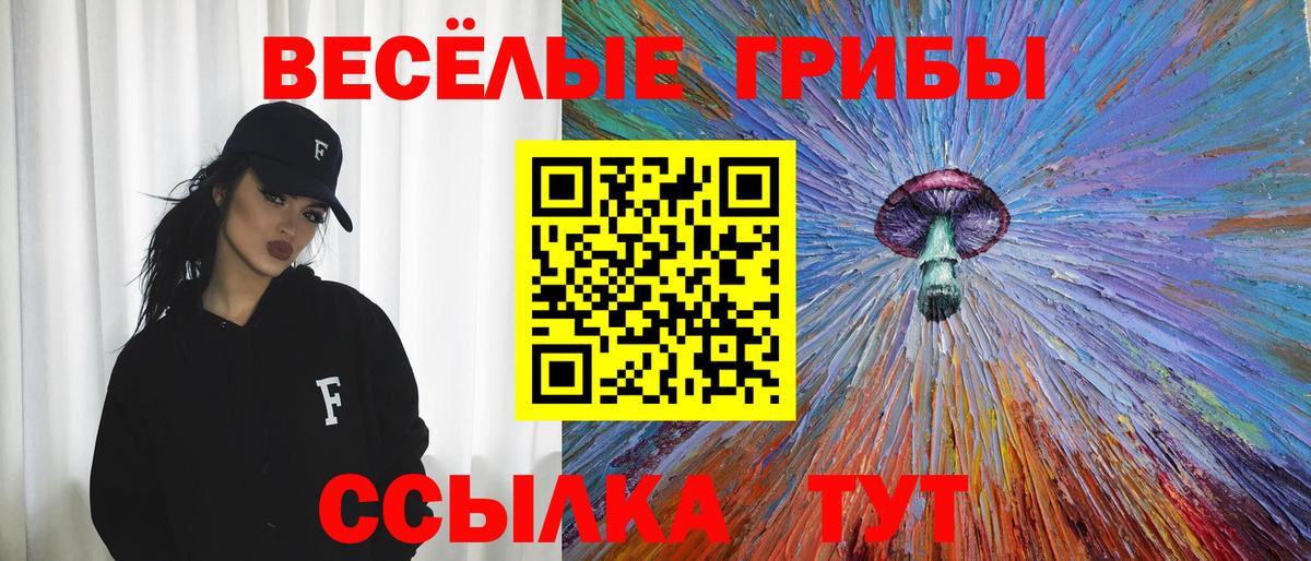 Псилоцибиновые грибы Psilocybe Югорск