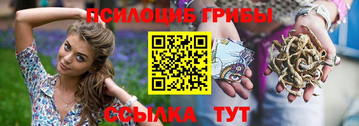 Псилоцибиновые грибы прущие грибы  Югорск  купить закладку  Галлюциногенные грибы Psilocybine cubensis 